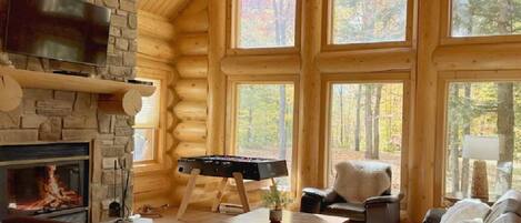 TV, fireplace, DVD player, foosball