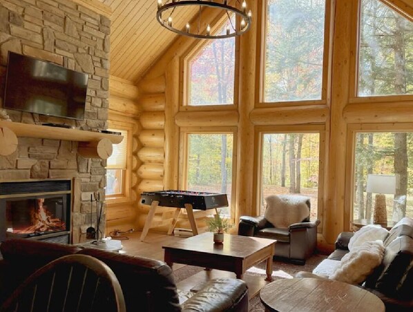 Télévision, cheminée, lecteur de DVD, baby-foot