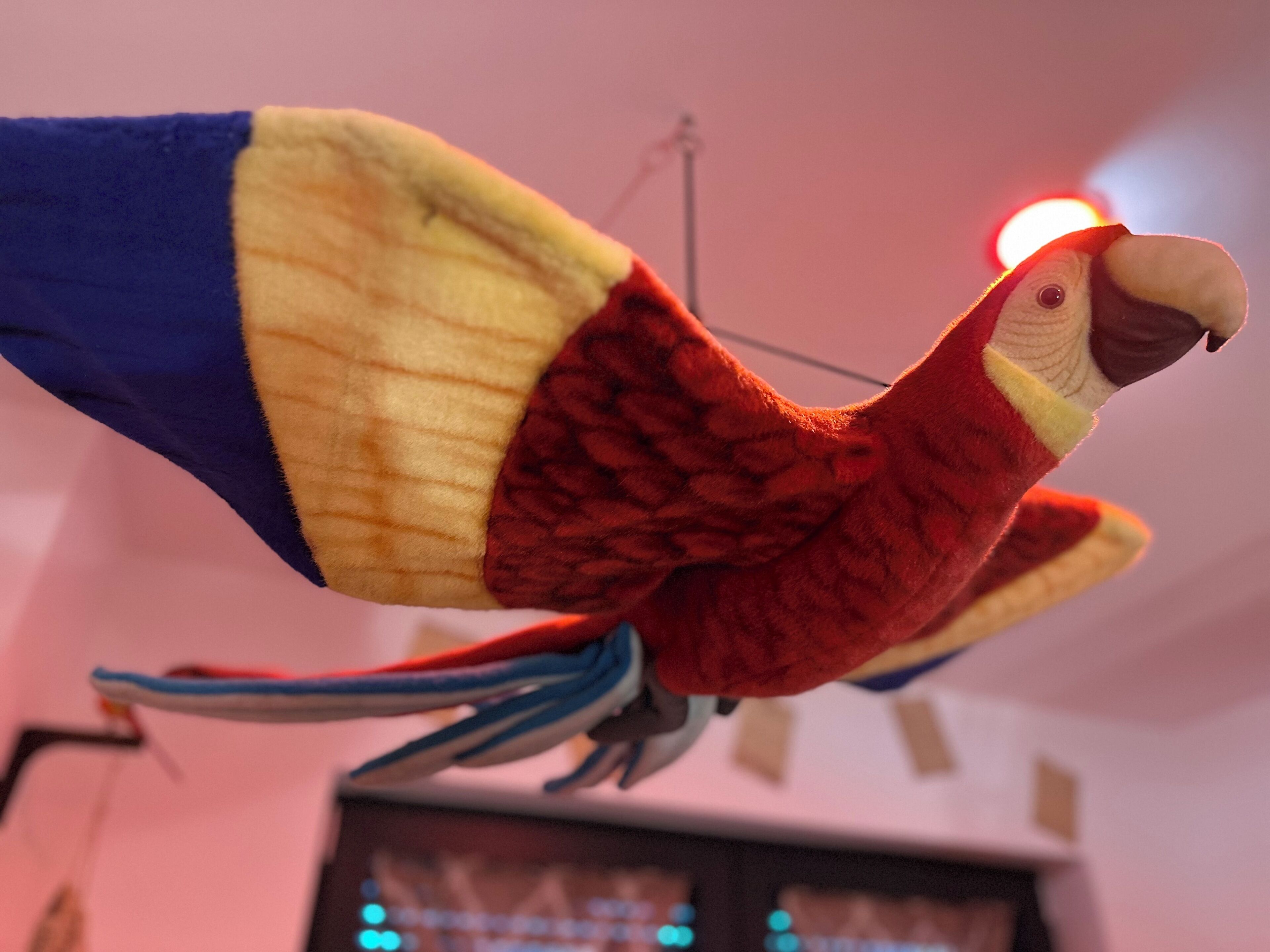 Un jouet en peluche représentant un perroquet, aux couleurs rouge, jaune et bleu.