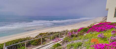 Playa en los alrededores
