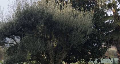 Il giardino di Eolo