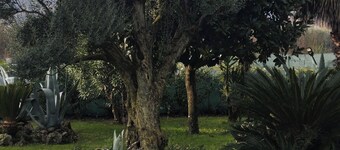 Il giardino di Eolo