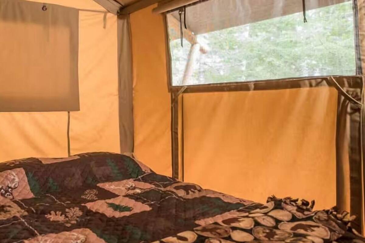 Tienda de campaña con una cama en su interior, una ventana que da a la vegetación y una cortina colgante.