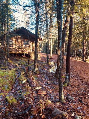 Exterior - The Woods of Eden Glampground (Bar Harbor)