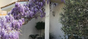 Apartment in a haven of peace 10 mm from the Mediterranean Sea.