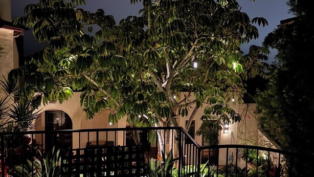 Un bâtiment avec un arbre devant, un escalier et une rampe.