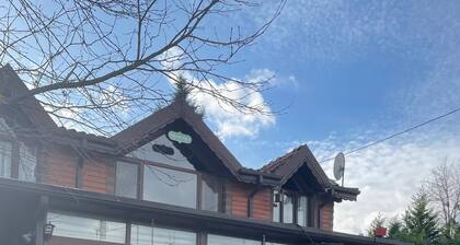 Charming 2-bedroom villa with hot water Pool, AC, WiFi in peaceful Sapanca