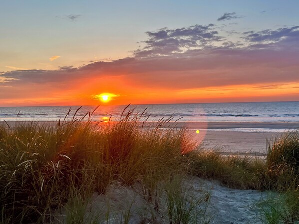 A beach scene with the sun setting over the ocean, grasses in the foreground, and a clear sky.