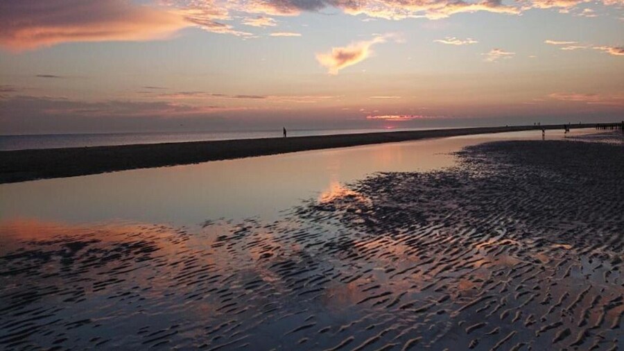 Villa in Netherlands With Private Garden