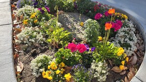 Ein Blumenbeet mit bunten Blumen und Pflanzen, umgeben von einer Steingrenze.