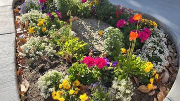 Een bloembed met diverse kleurrijke bloemen en planten, omringd door een stenen rand.