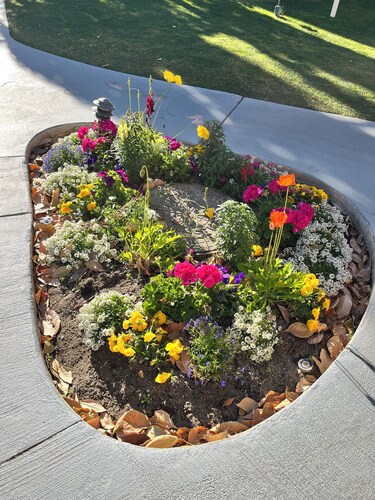 Coachella weekend Friday-Monday 1 bdrm condo in resort in Cathedral City.