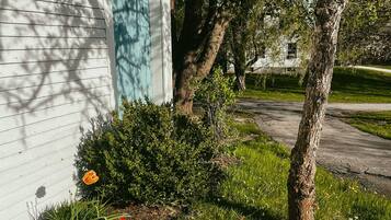 DĂ©tail de lâextĂ©rieur