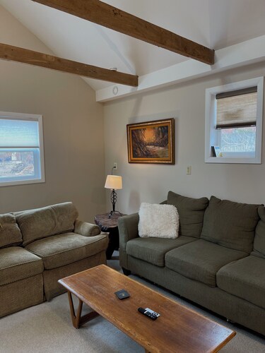 Large independent cottage, walking distance to campus and downtown Columbia