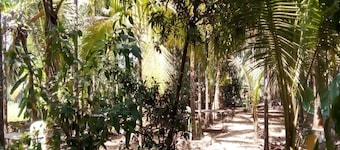 COOL & PLEASENT STAY IN NATUTRE @ DAKWE COTTAGE WITH DELICIOUS FOOD , NEAR BEACH