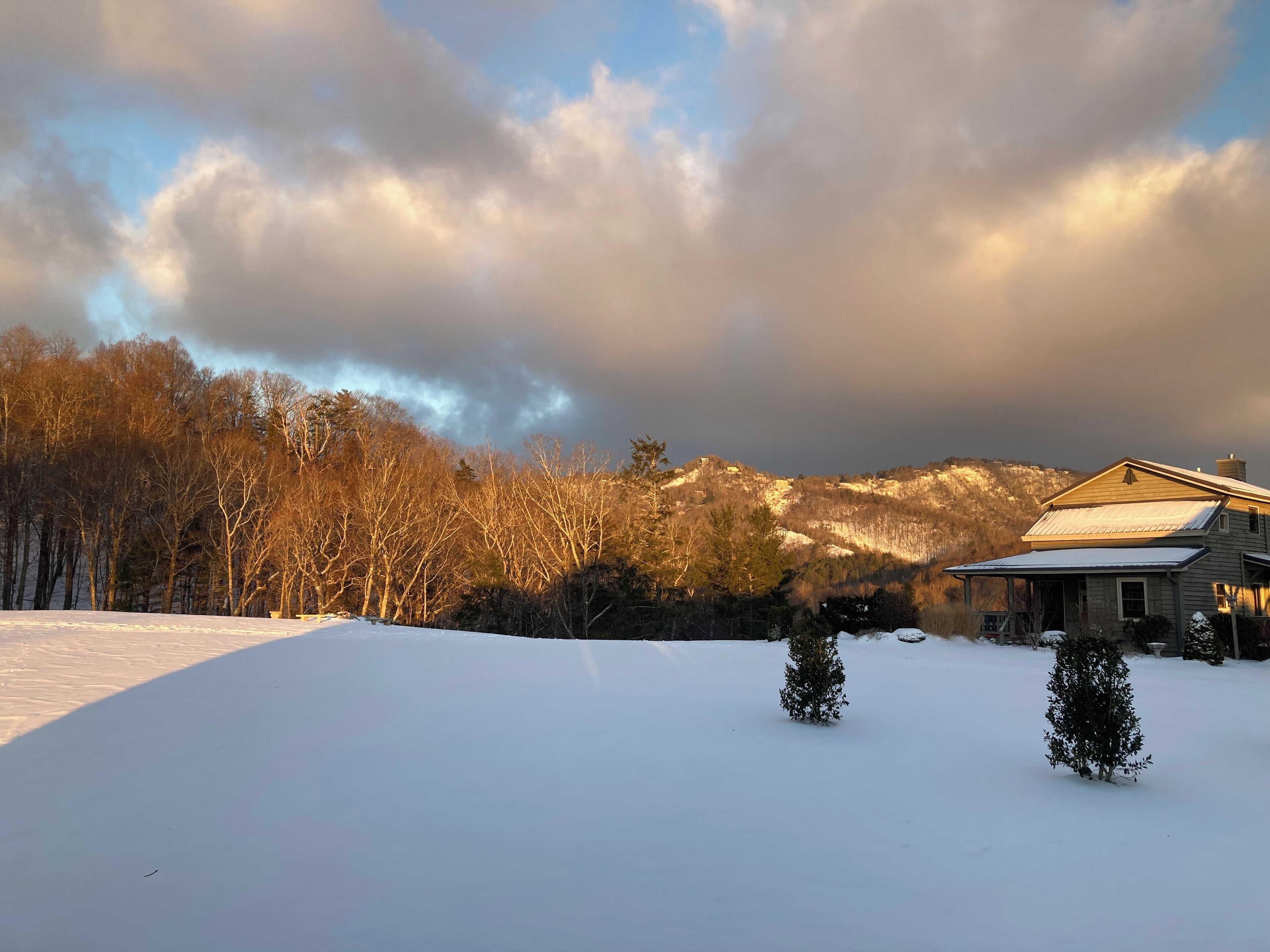 A house with a snow-covered roof, surrounded by a snowy landscape and a forest.