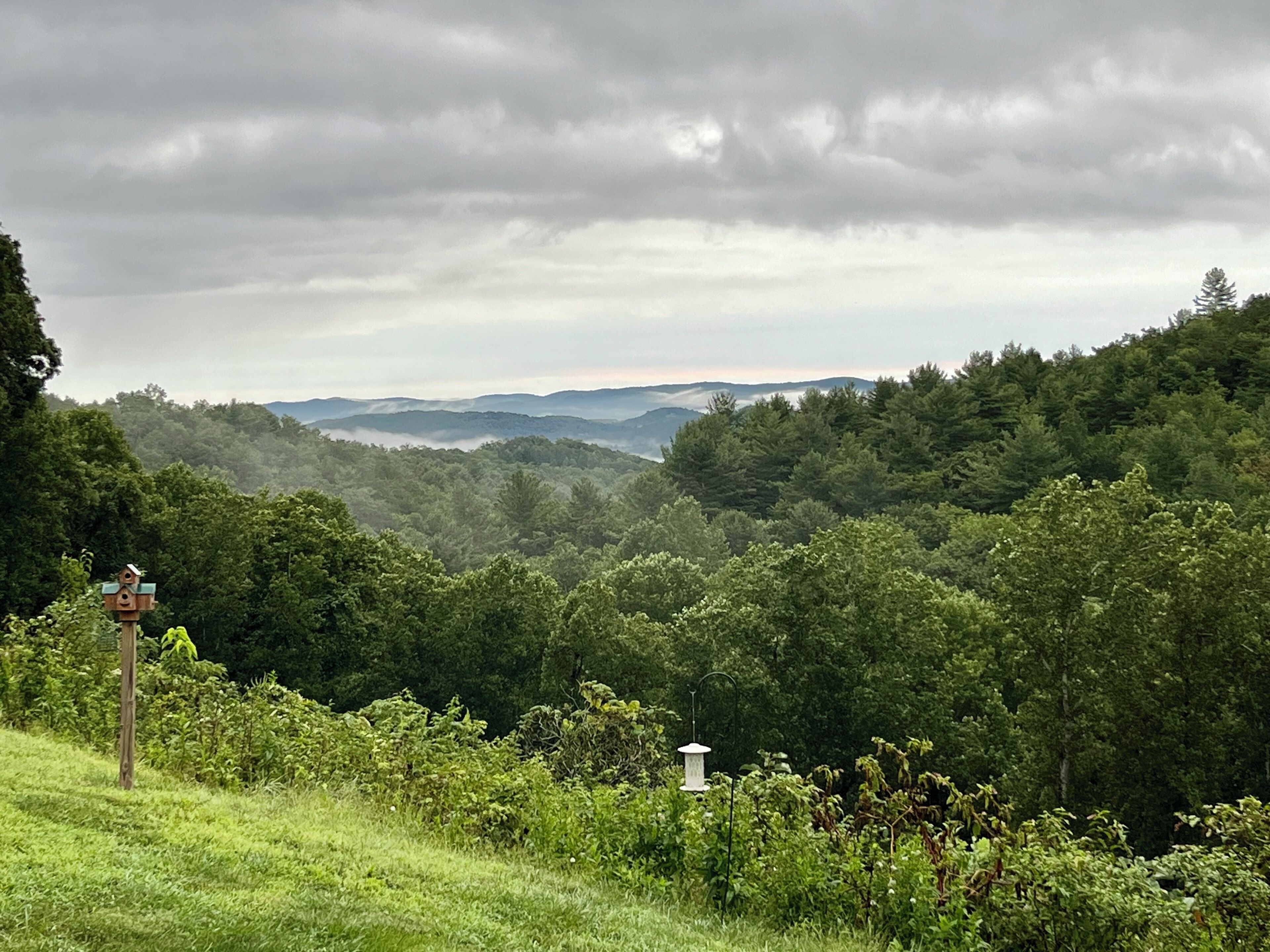 A lush green landscape with a birdhouse and a bird feeder in the foreground, and a forested valley in the background.