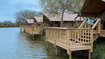 Área da propriedade