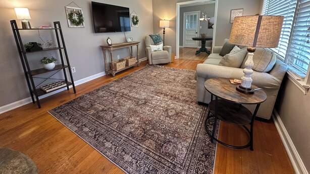 Un salon doté d’un ventilateur de plafond, d’un téléviseur, d’un canapé, d’une table basse et d’un tapis à motifs.