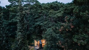 A cabin nestled in a forest, surrounded by dense trees.