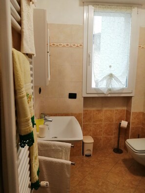 Shower, hair dryer, bidet, towels