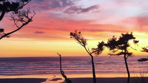 Une plage bordée d’arbres se détachant sur le ciel au coucher du soleil.