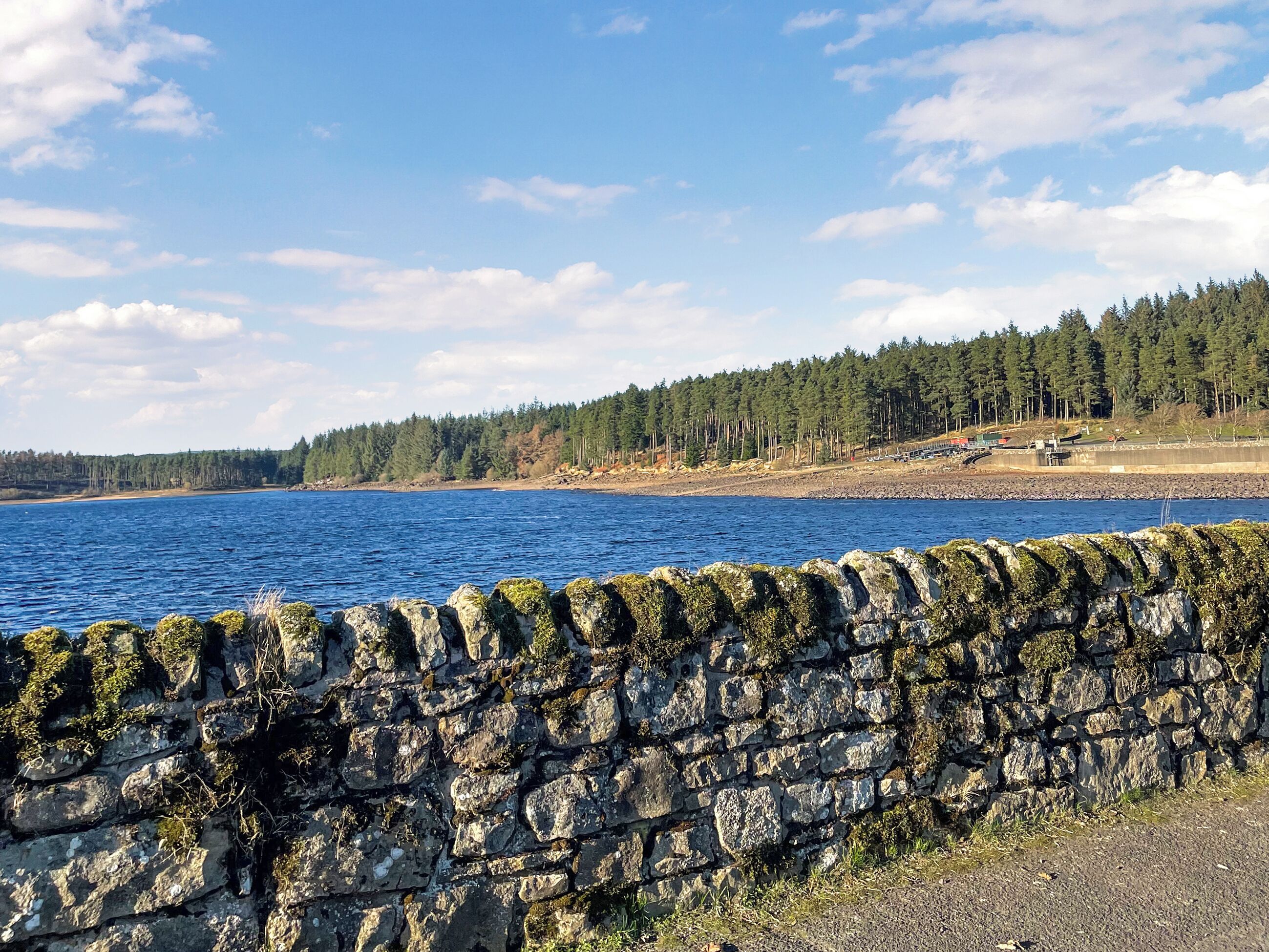 A stone wall with a view of a calm body of water, a forested shoreline, and a clear sky.