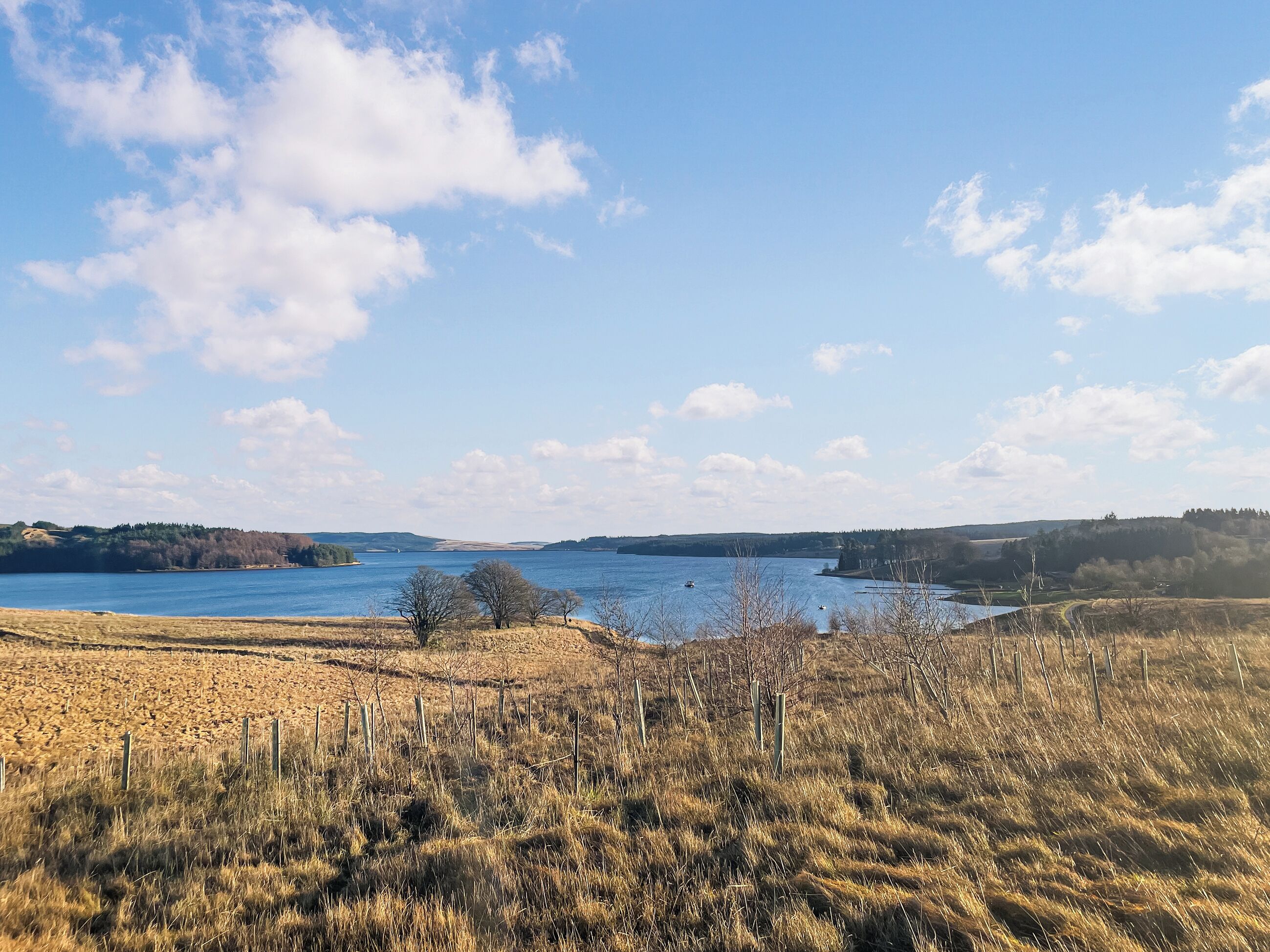 Weitläufige Ansicht eines Sees mit einer grünen Uferwiese und fernen Hügeln.