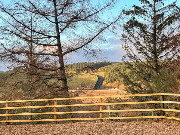 Un paysage rural avec un chemin de terre, une clôture jaune et des arbres.