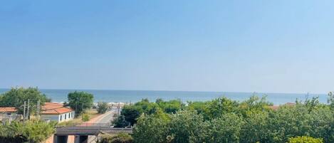 施設からの眺望