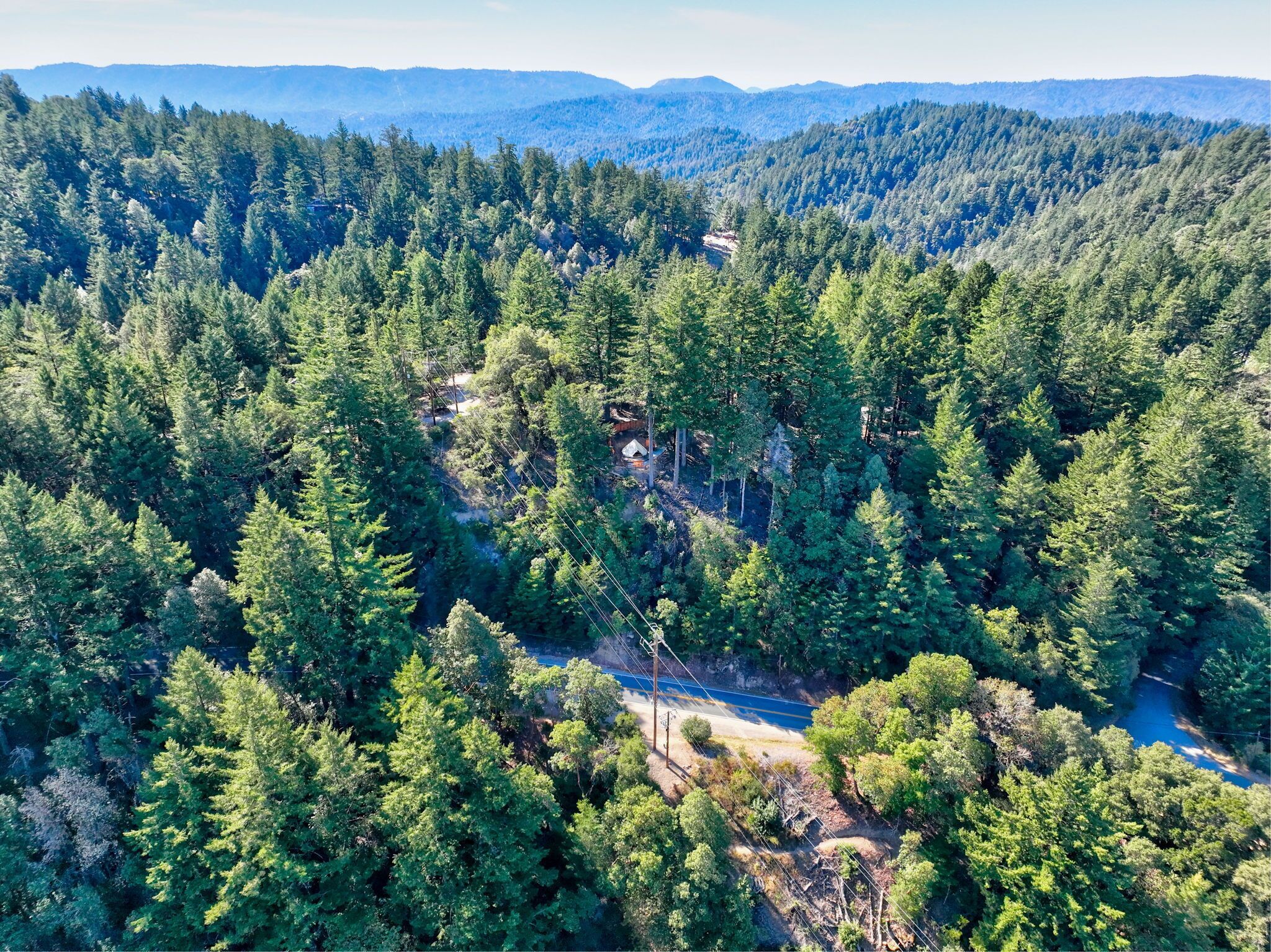 Vista aérea de un bosque denso con una carretera despejada que lo atraviesa.