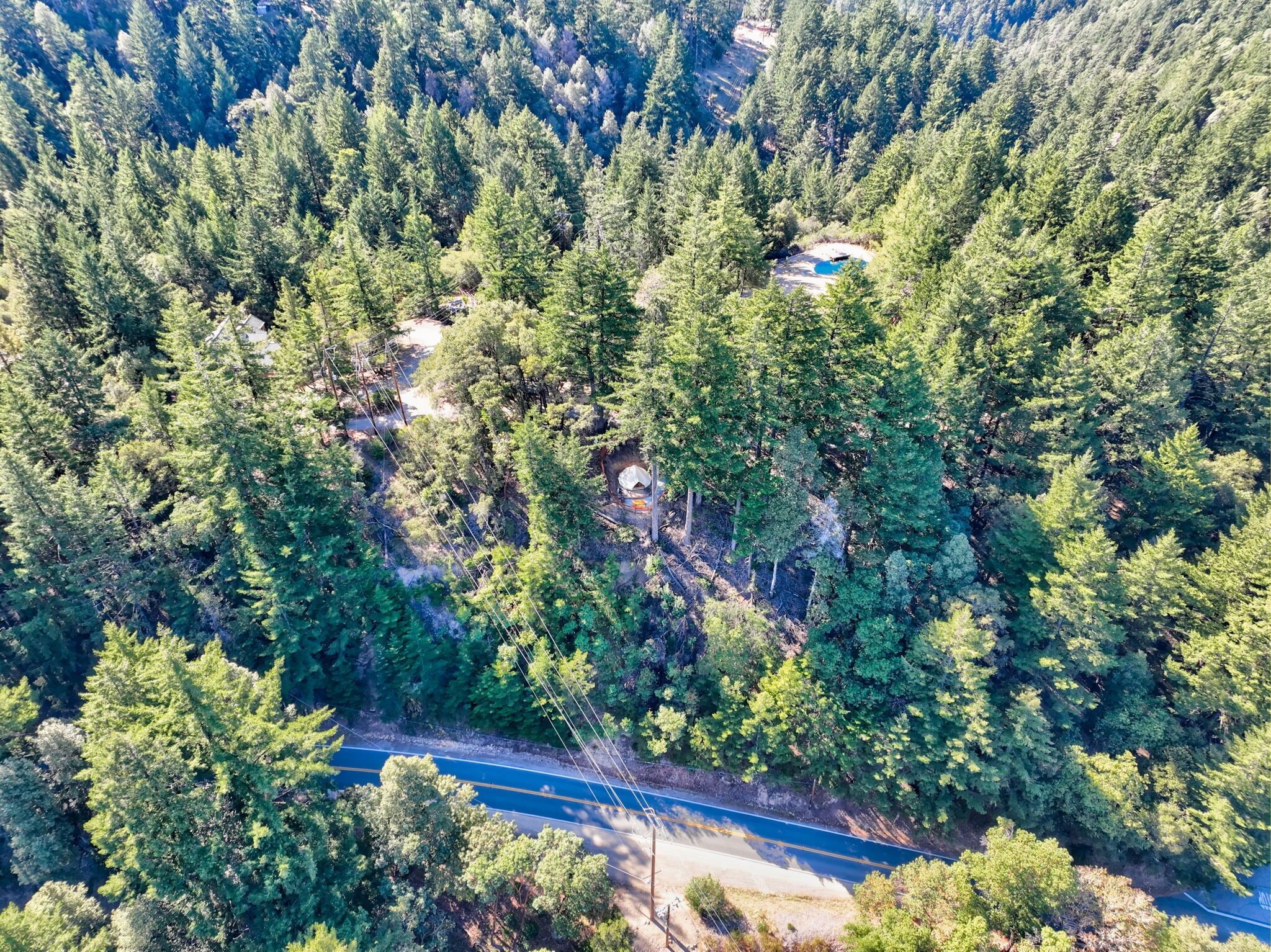 Vista aérea de una zona boscosa con una carretera que la atraviesa.