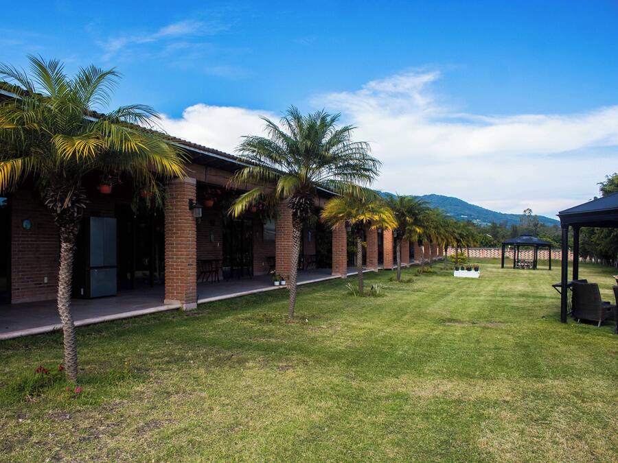 Un hilera de edificios de ladrillo con palmeras al frente, un área verde y un pabellón a lo lejos.