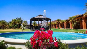 A clear blue sky, a swimming pool with a fountain, a gazebo, and palm trees. - Hotel Matea San Isidro  (Tonatico)