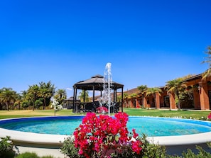 Un ciel d’un bleu éclatant, une piscine avec une fontaine, un kiosque et des palmiers.