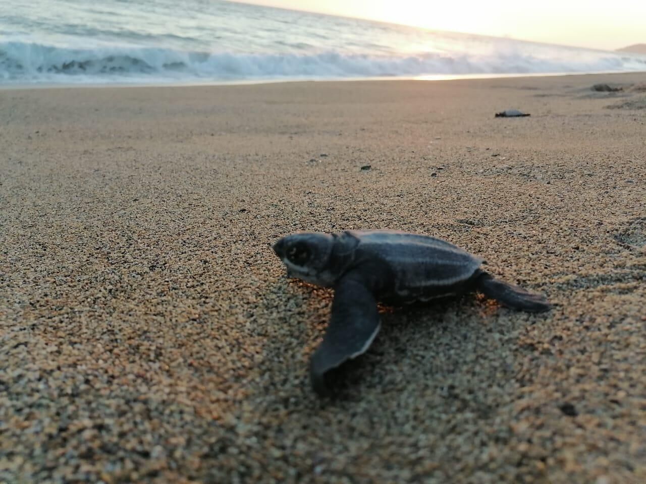 Am Strand, Strandtücher