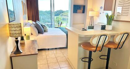 Hilo Studio Retreat with Gorgeous Park View, AC, WiFi, Pool