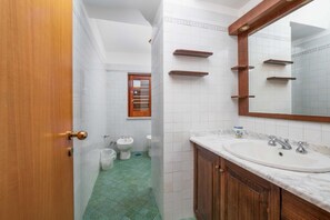 Shower, hair dryer, bidet, towels