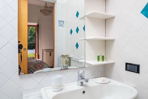 Shower, hair dryer, bidet, towels