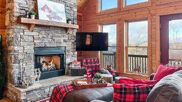 Smart TV, fireplace, video games, books