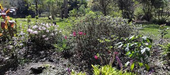 3 bed Farmhouse in Valery Mid North Coast