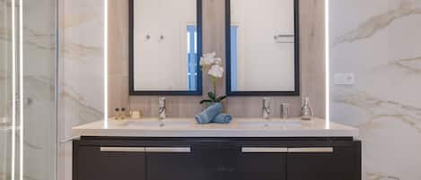 Douche, séchoir à cheveux, serviettes fournies