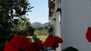 المنطقة المحيطة بالمنشأة