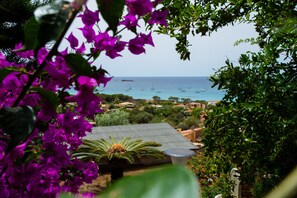 A coastal view with boats, a garden with bougainvillea, and a building with a sloped roof.