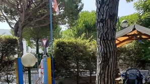 A park with a flagpole, a pedestrian crossing sign, and a lamp post. - Euroholiday Village 2A Apartment with Private Terrace, Shared Garden and Wi-Fi (Jesolo)