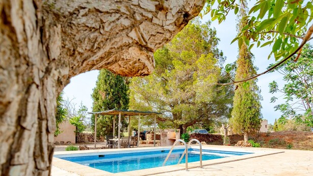 A swimming pool with a stone deck, surrounded by trees and a pergola.
