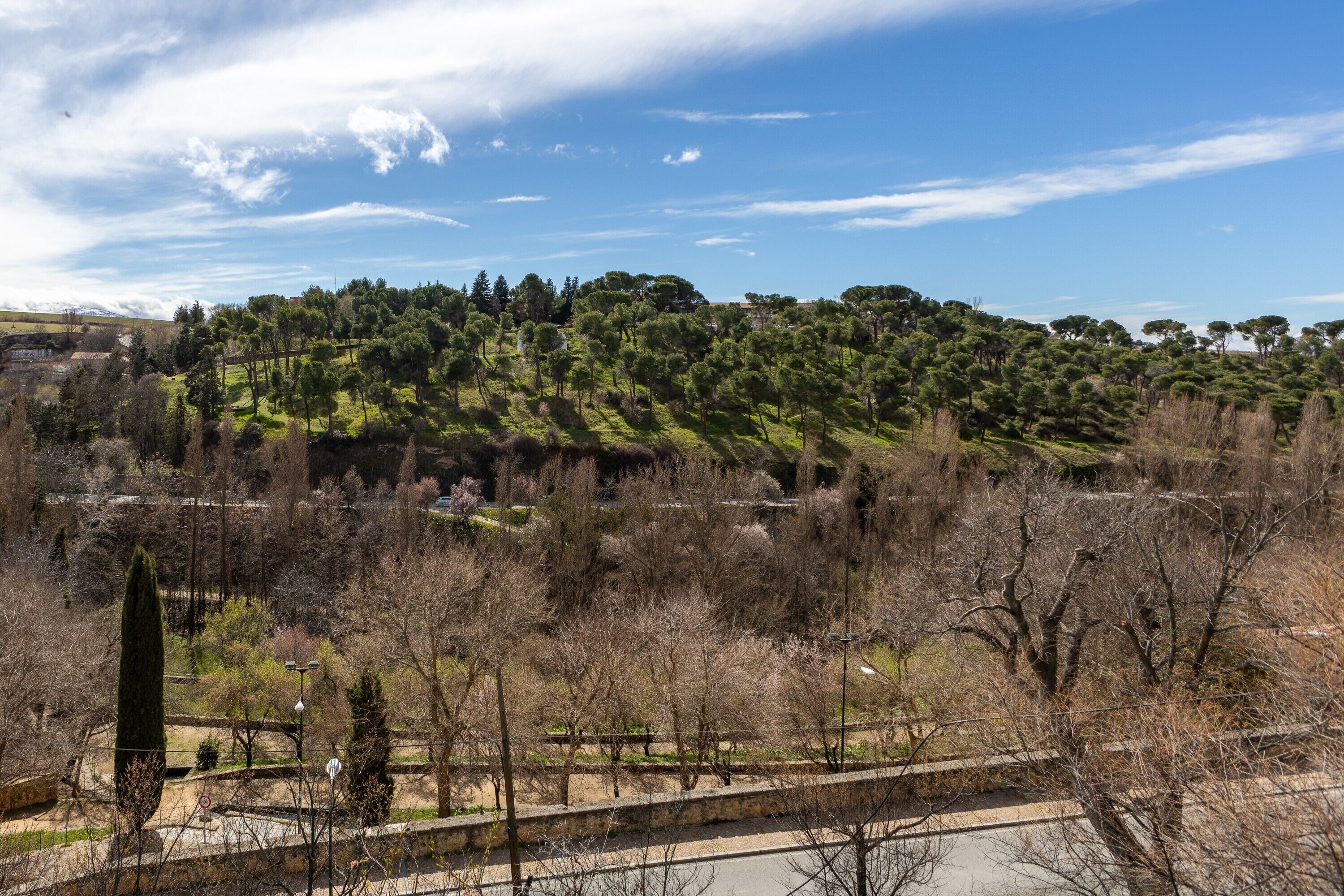 Un parque con árboles, un sendero y una colina distante.