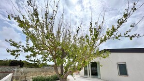 Un árbol en un patio interior con un edificio moderno al fondo.