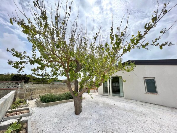 A tree in a courtyard with a modern building in the background.