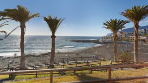 Una playa con palmeras, un camino de madera y vista al océano.